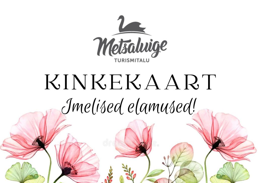 kinkekaart_metsaluige Kinkekaart