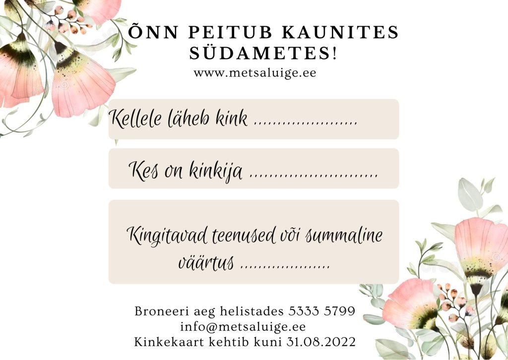 kinkekaart_metsaluige-2 Kinkekaart